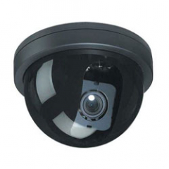 DOME Farve D/N 3,8-9,5MM 550 TVL 